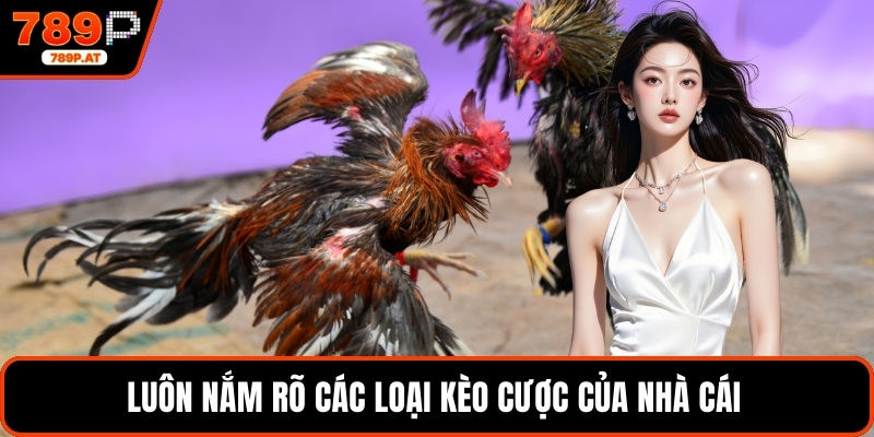 Luôn nắm rõ các loại kèo cược của nhà cái 